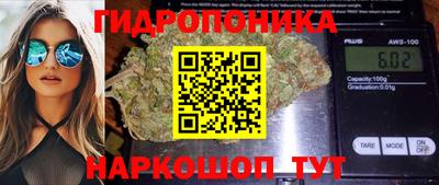 jwh Моздок