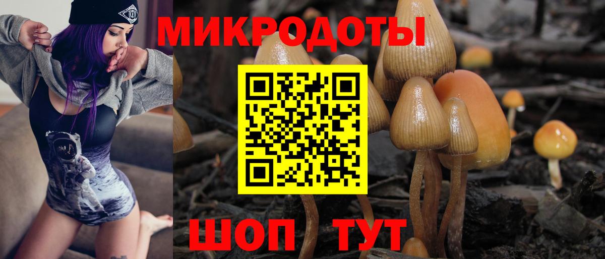 Галлюциногенные грибы прущие грибы Урус-Мартан